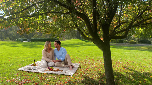 Picnic Romance in the Vines